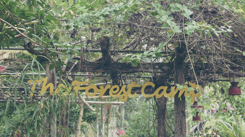 Welcome to The Forest Camp