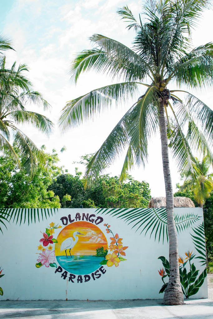 Welcome to Olango Paradise