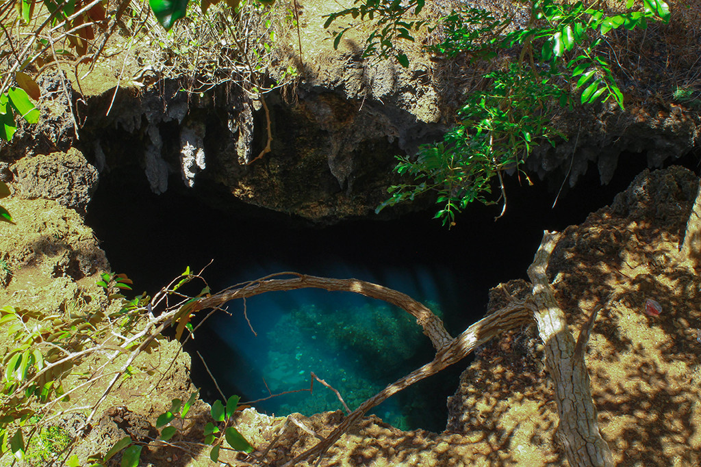 Cabagnow Cave Pool. I had to climb a Caimito (Star Apple) tree to get this shot. #paraSaBlog