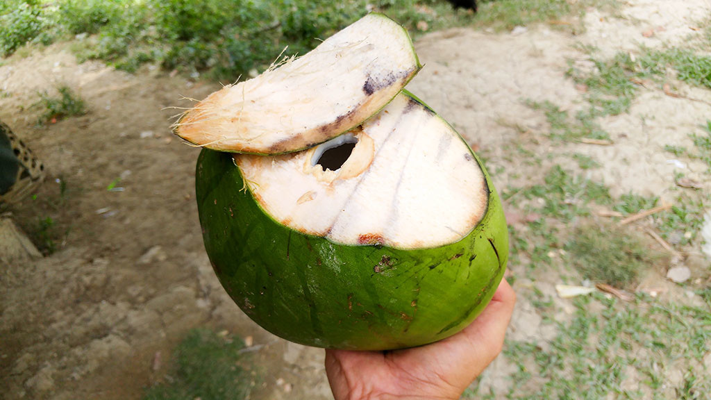 Fresh buko before the ascent, courtesy of Sir Noel.