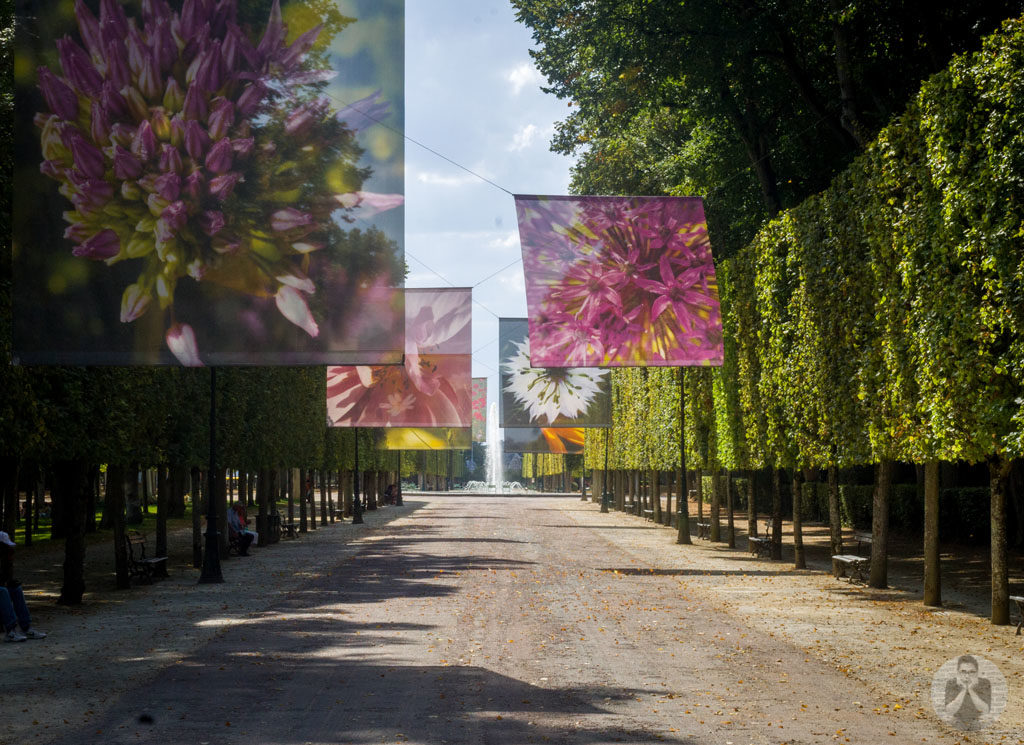 Display of flower banners inside Parc de Blossac. Not sure what are those for. :P