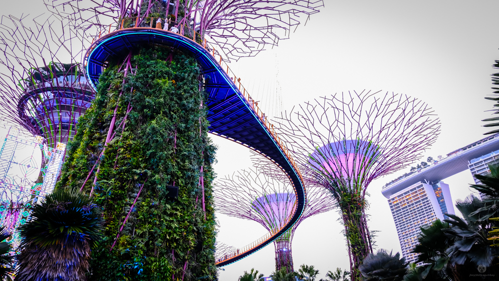 Gardens by the Bay