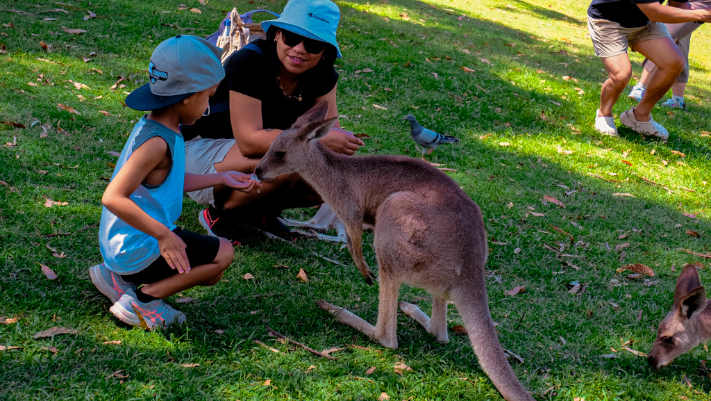 Zion feeding the Roos