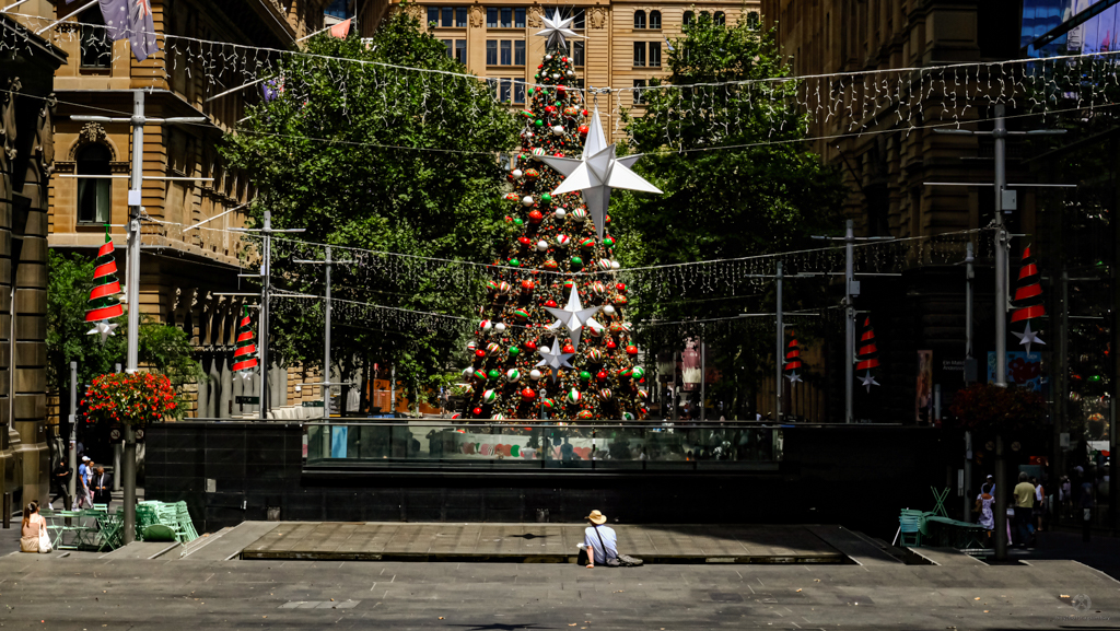 Sydney Christmas Tree