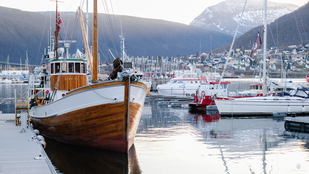 Boats at the harbor
