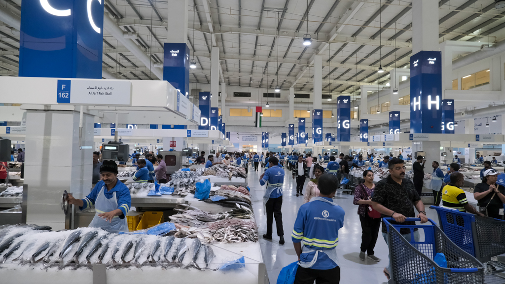 Dubai Fish market