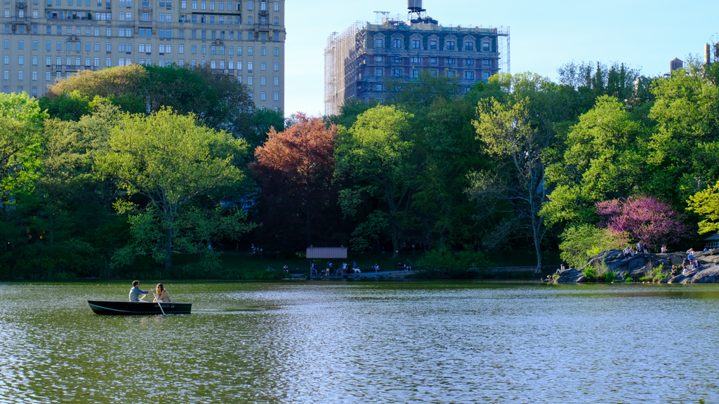 Boating - Central Park