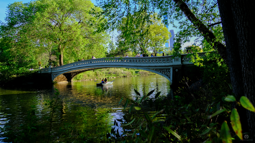 Bridge - Central Park