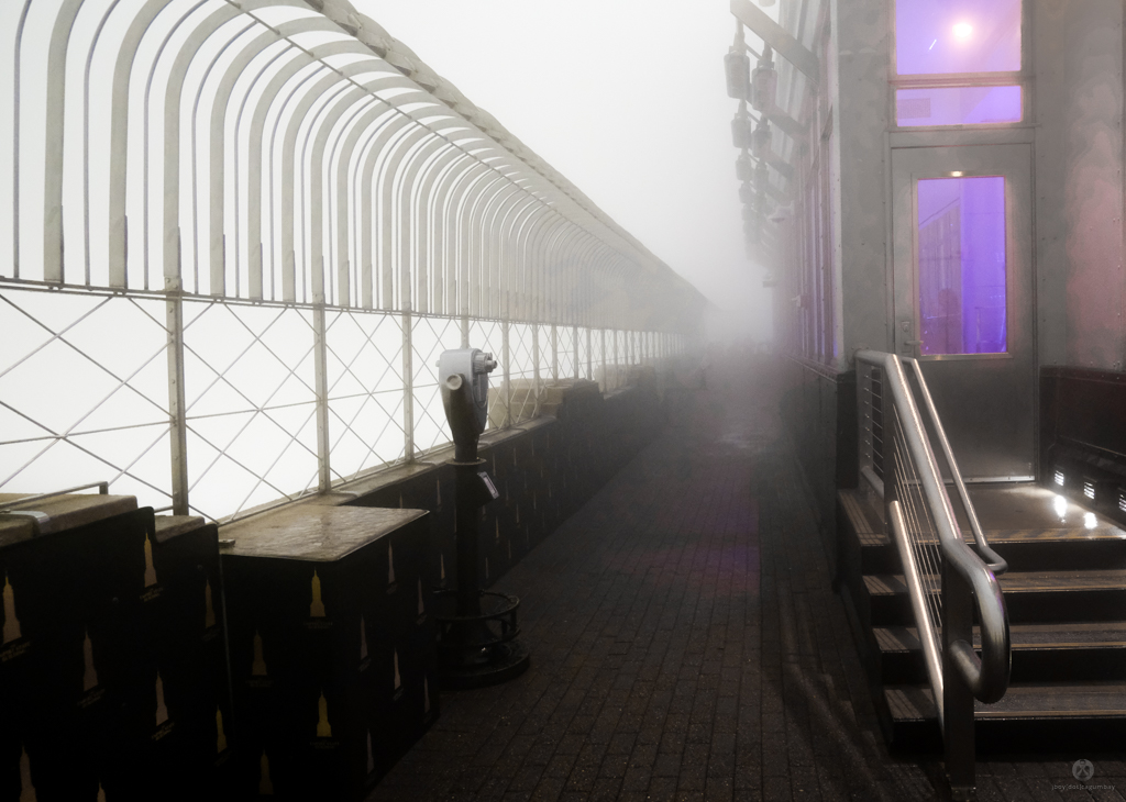 Majestic view at the top of the Empire State