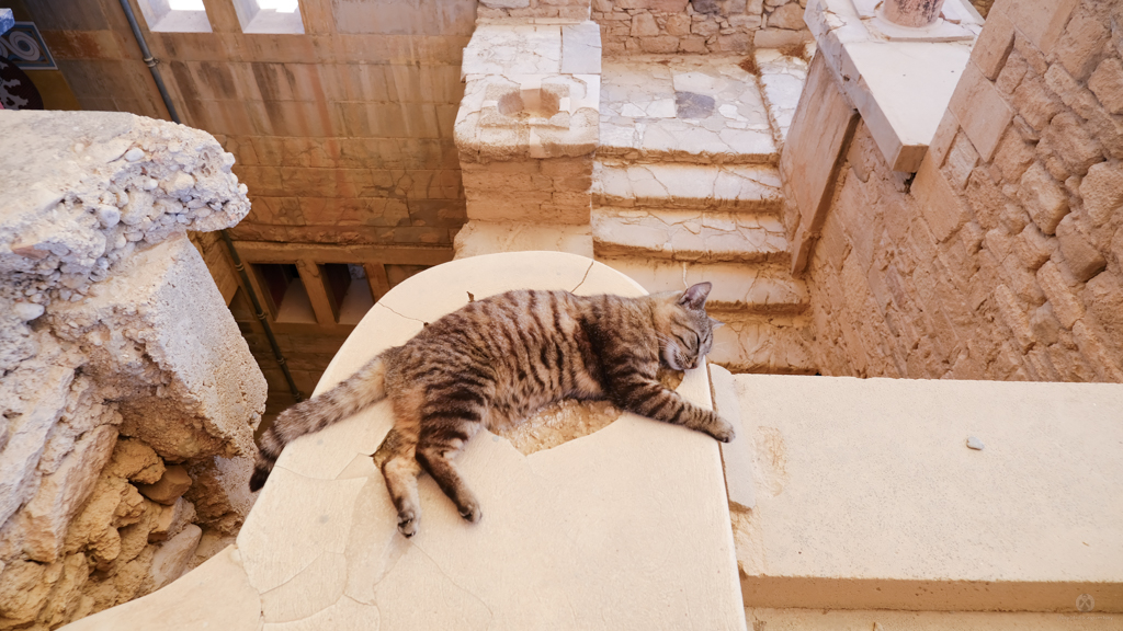 The ruins of Knossos Palace and its guardian.