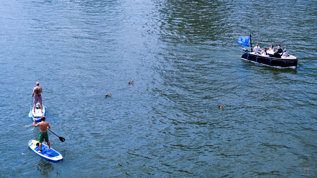 Boat, paddle boards and ducks