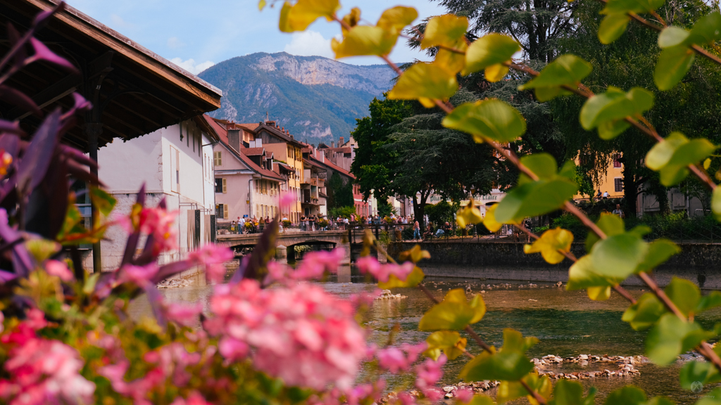French Alps in the background