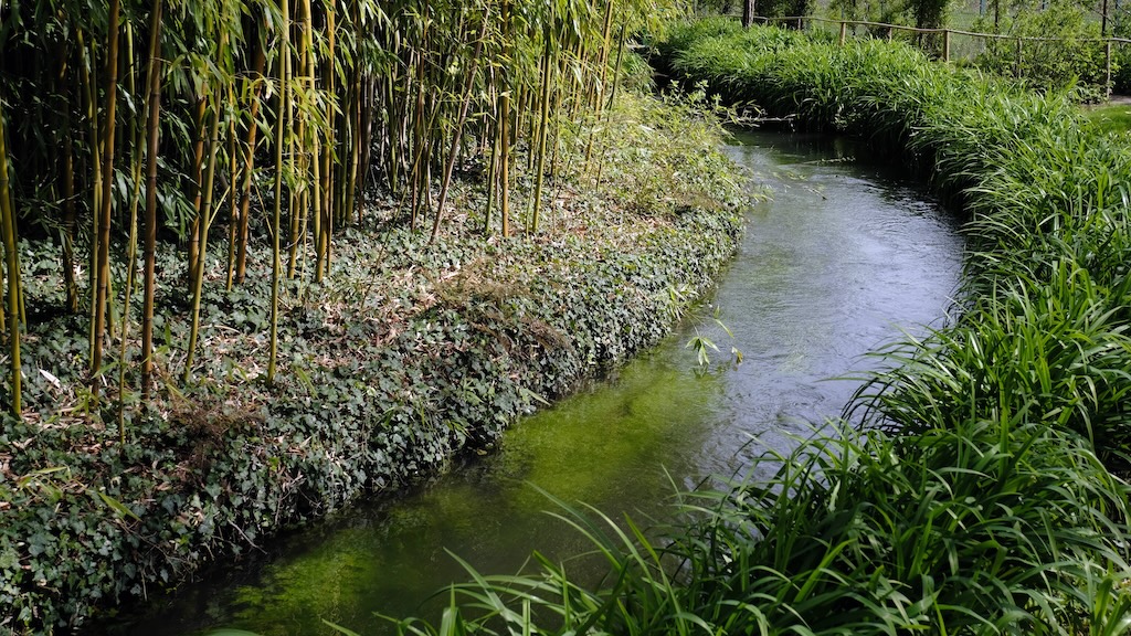 I don't know why but this little creek in his pond is soothing